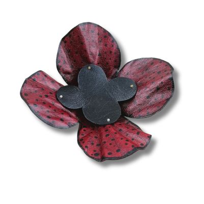 &Mu;&epsilon;&gamma;ά&lambda;&eta; &mu;&alpha;&gamma;&nu;&eta;&tau;&iota;&kappa;ή &kappa;&alpha;&rho;&phi;ί&tau;&sigma;&alpha; &mu;&pi;&omicron;&rho;&nu;&tau;ώ